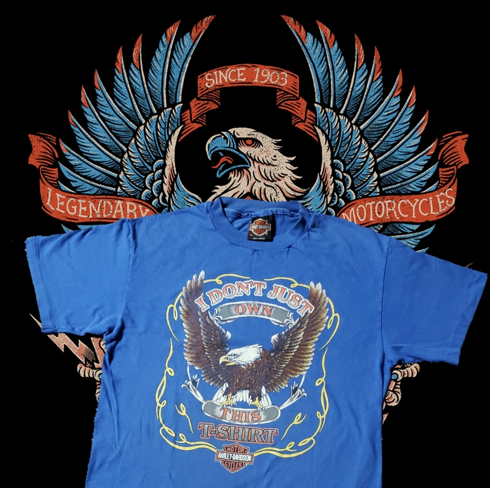 Vintage Single Stitch Harley Davidson Eagle Winsto